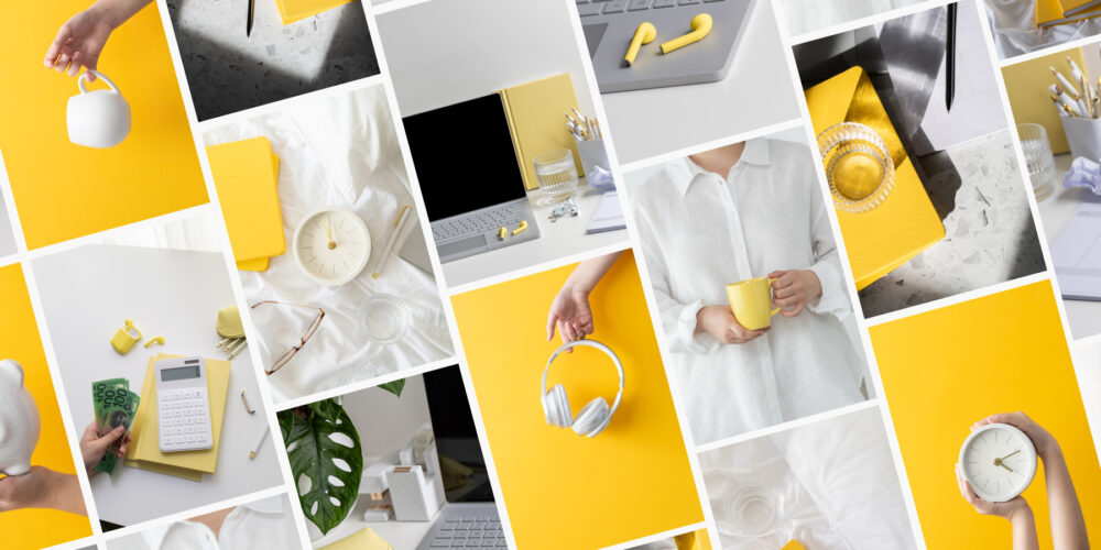 Yellow & White: A Splash of Sunshine in Every Image.