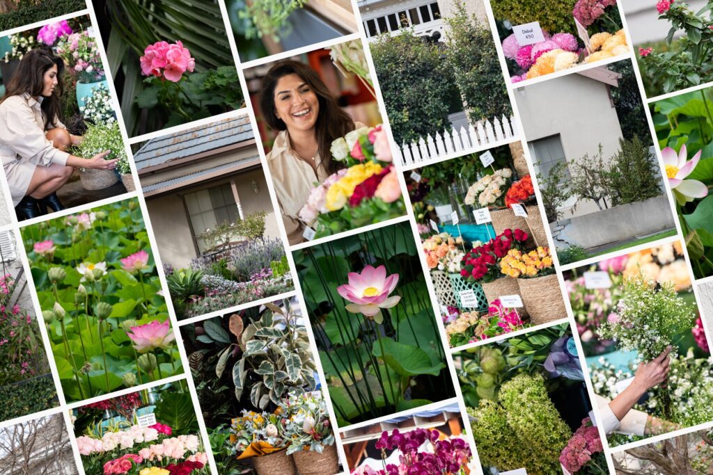 Explore "Market Blooms," our latest stock image collection capturing the essence of flower markets in Australia. Sign up for Eliza Stock to access over 6000 images and let your brand flourish. This image is a vibrant collage featuring a variety of scenes from a flower market. It includes images of colorful bouquets, a woman selecting flowers, close-ups of individual blooms like a pink lotus, and lush greenery. The collection captures the beauty and diversity of the market's offerings, from potted plants to floral arrangements, highlighting the joy of exploring and choosing flowers in a lively, natural setting.