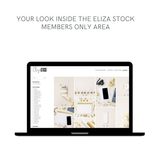 Your look inside the Eliza Stock members only area