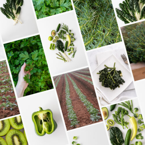 Introducing the New Green Goodness Collection Stock Images Photos
