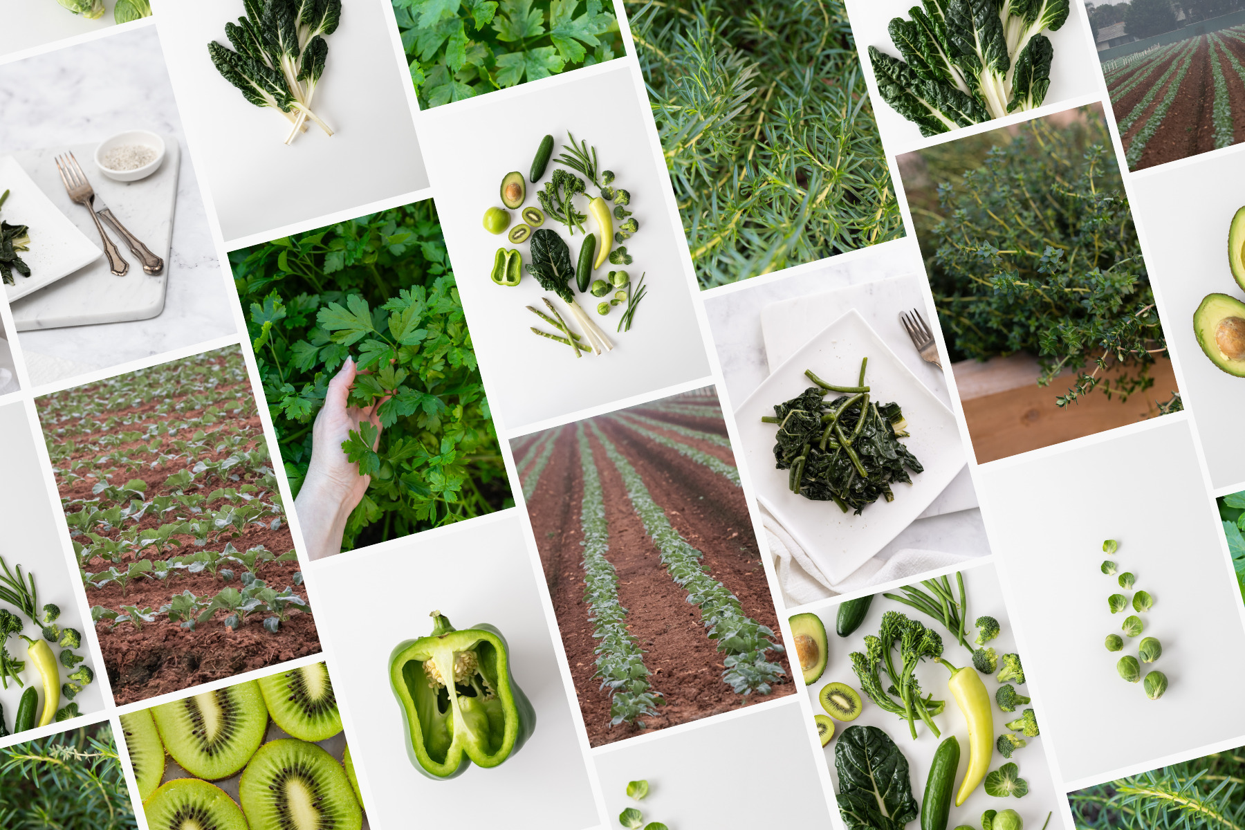 Introducing the New Green Goodness Collection Stock Images Photos