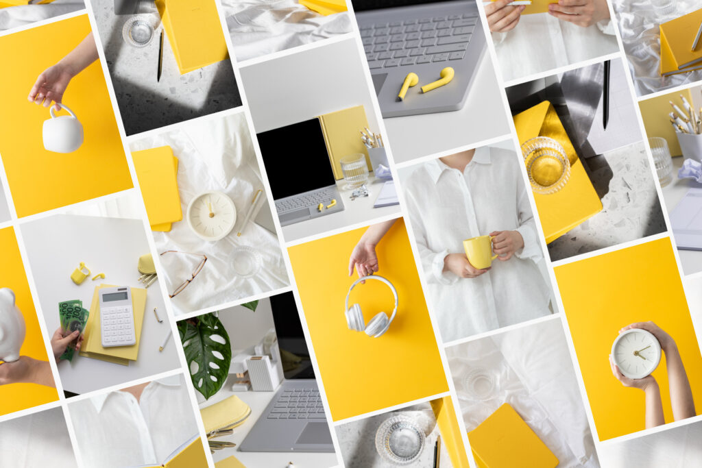 Yellow & White: A Splash of Sunshine in Every Image.