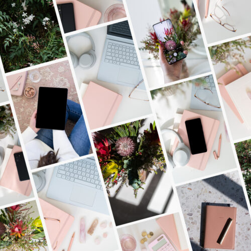 Revamp Your Visuals with Eliza Stock’s Fresh Pink Palette Images Photos