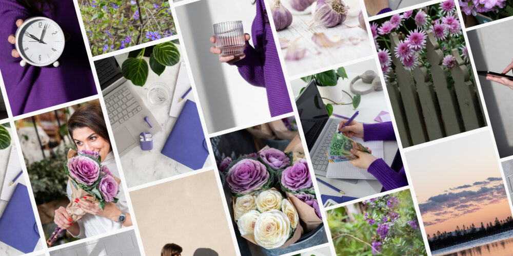 Purple, Branding, stock, images, phots, picture, Asutalian